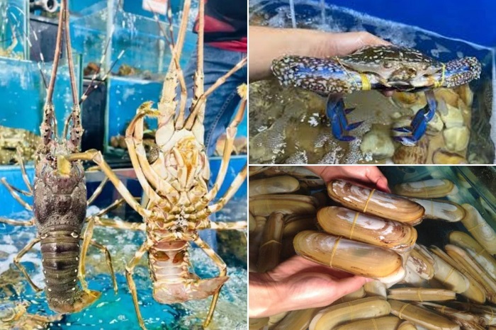 Các shop hải sản online ở TPHCM uy tín, giá tốt, ship lẹ 2 Hải Sản Trung Nam là thiên đường hải sản tươi sống chất lượng cao